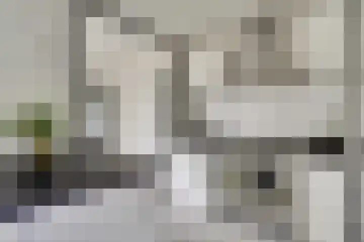 Berkenlaan 9 Schiedam thumbnail 10