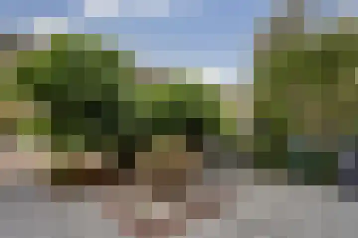 Berkenlaan 9 Schiedam thumbnail 23