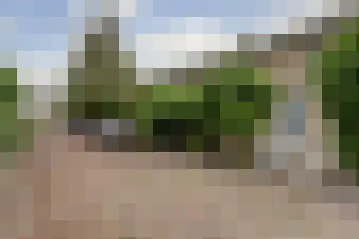 Berkenlaan 9 Schiedam thumbnail 24