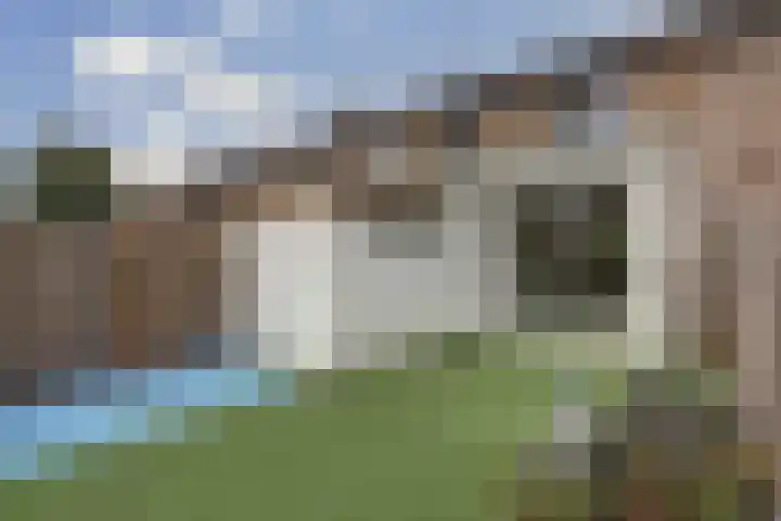 Berkenlaan 9 Schiedam thumbnail 4