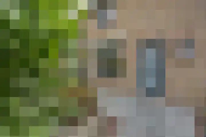 Berkenlaan 9 Schiedam thumbnail 5