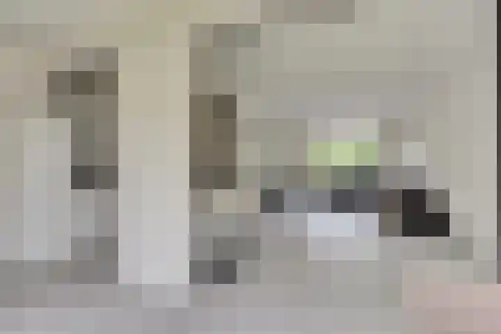 Berkenlaan 9 Schiedam thumbnail 7