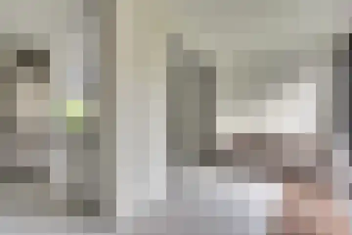 Berkenlaan 9 Schiedam thumbnail 8