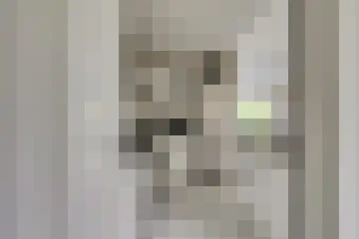 Berkenlaan 9 Schiedam thumbnail 9