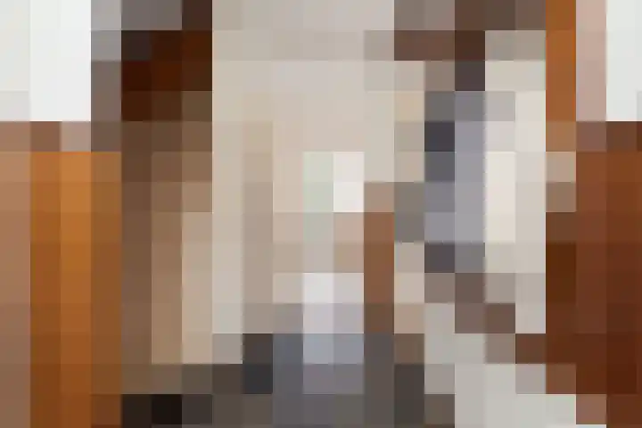 Berkenlaan 9 Waalwijk thumbnail 10