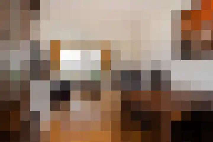 Berkenlaan 9 Waalwijk thumbnail 16