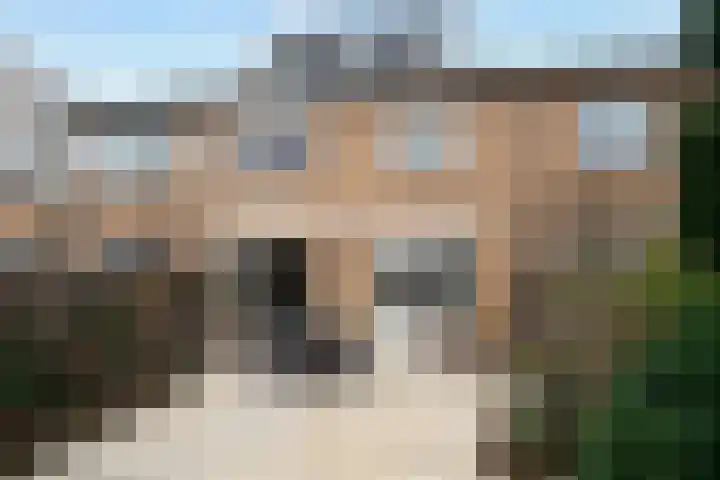 Berkenlaan 9 Waalwijk thumbnail 25