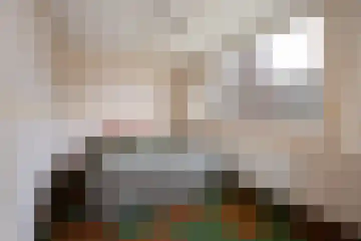 Berkenlaan 9 Waalwijk thumbnail 29