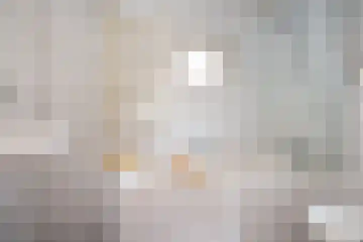 Berkenlaan 9 Waalwijk thumbnail 30