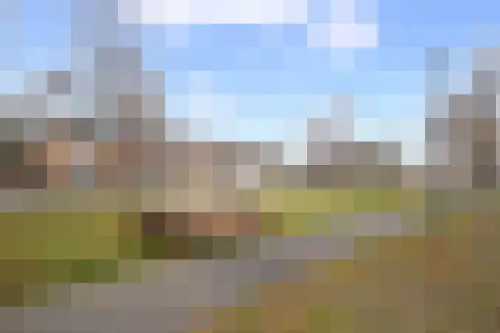 Berkenlaan 9 Waalwijk thumbnail 5