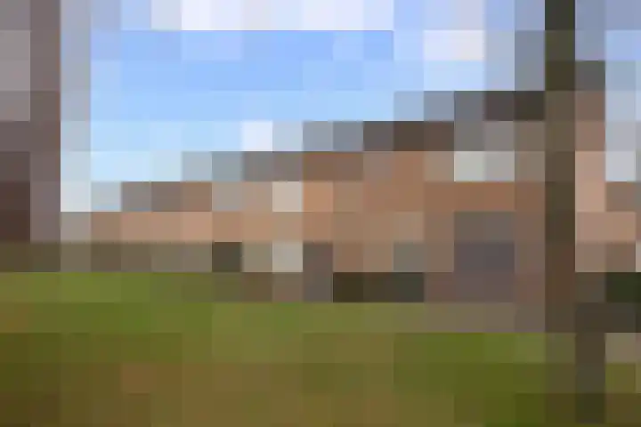 Berkenlaan 9 Waalwijk thumbnail 6