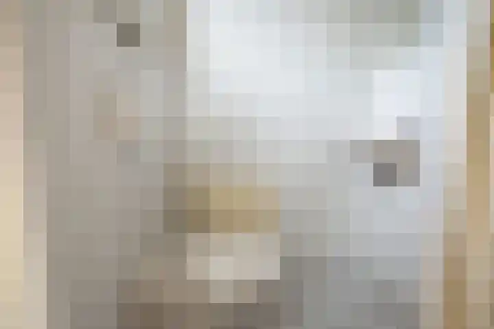 Berkenlaan 9 Waalwijk thumbnail 9