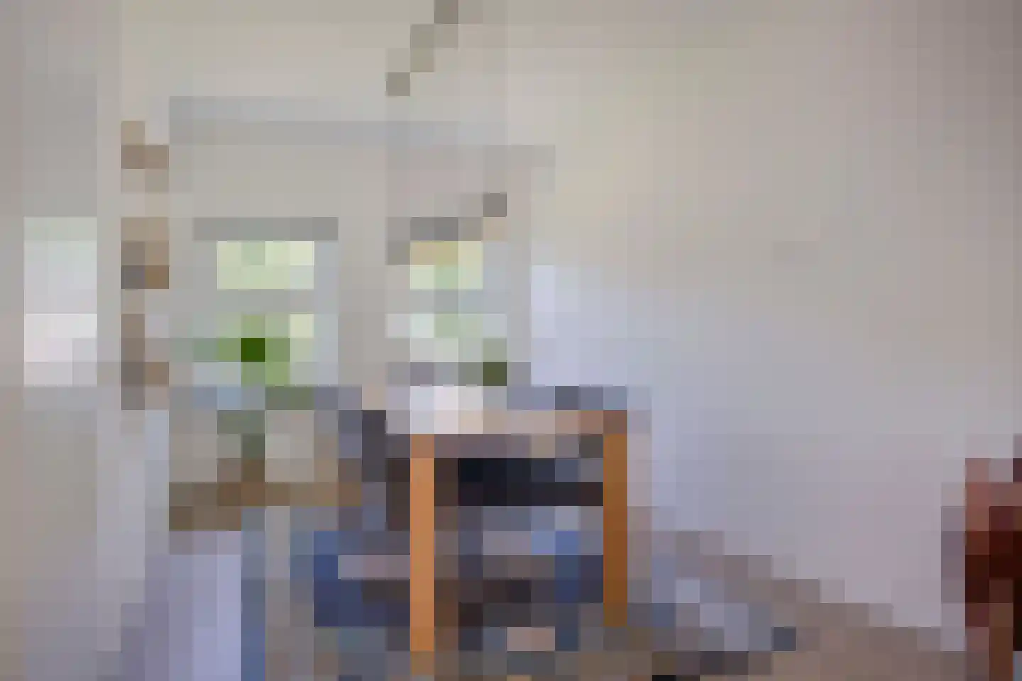 Berkenlaan 95 Zutphen thumbnail 12