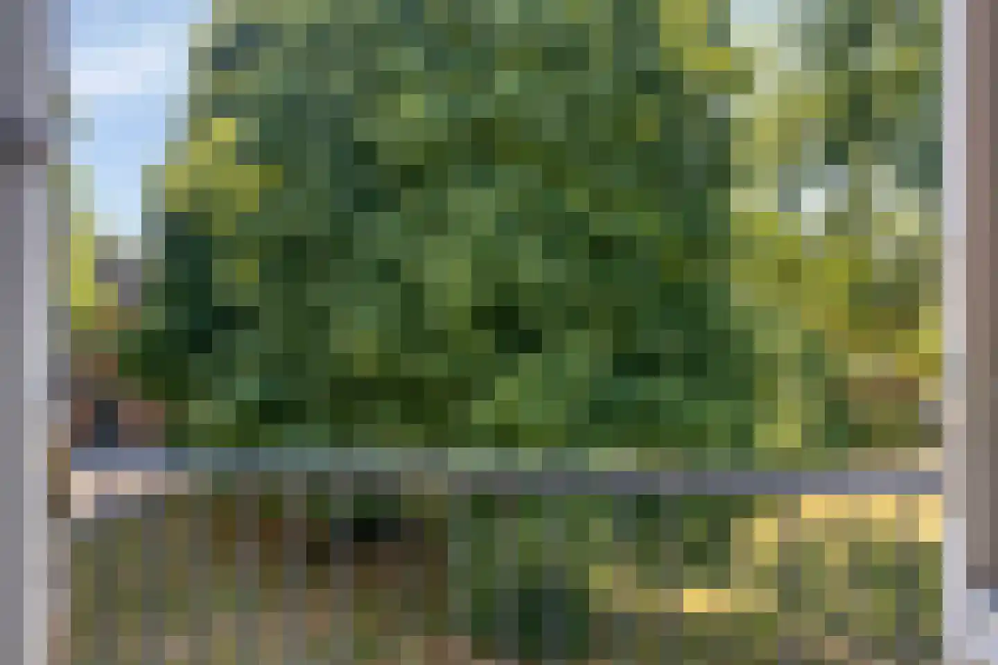 Berkenlaan 95 Zutphen thumbnail 13