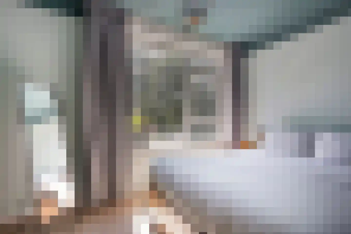 Berkenlaan 95 Zutphen thumbnail 20