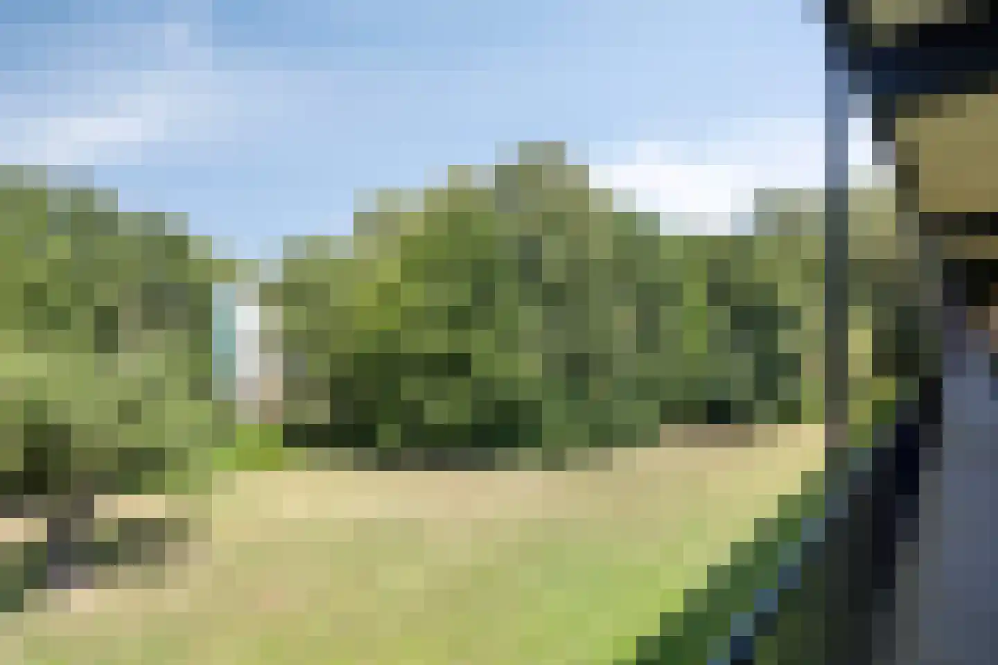 Berkenlaan 95 Zutphen thumbnail 28
