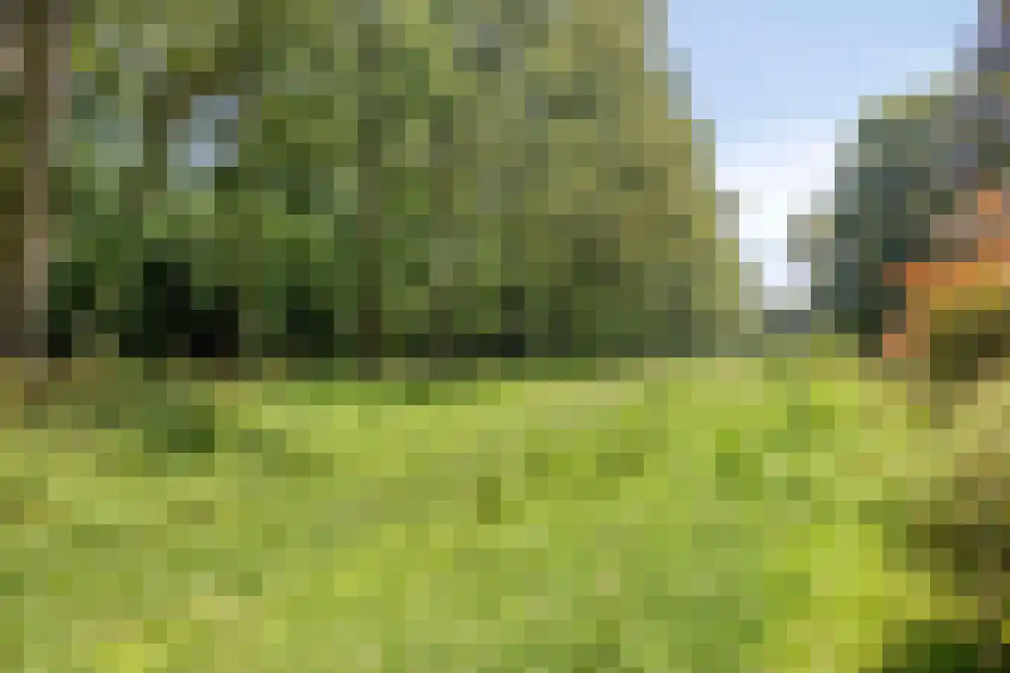 Berkenlaan 95 Zutphen thumbnail 29