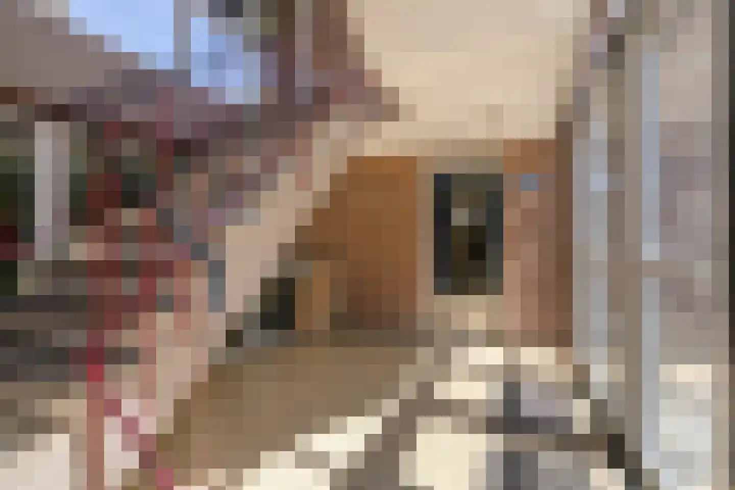 Berkenlaan 95 Zutphen thumbnail 6