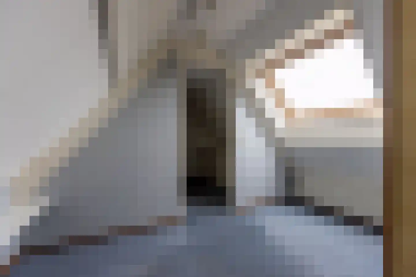 Berkenlaantje 13 Laren thumbnail 21