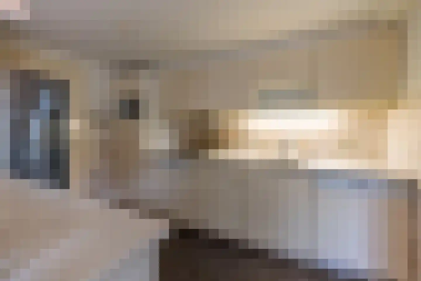 Berkenlaantje 13 Laren thumbnail 9