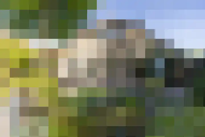 Berkenlaantje 2 a Laren thumbnail 11