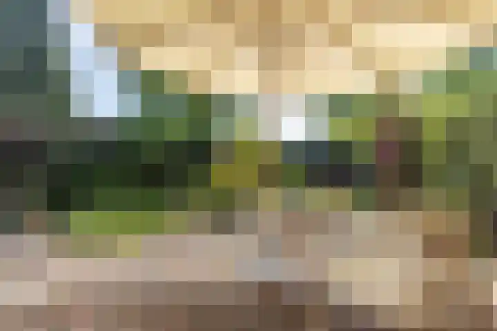 Berkenlaantje 2 a Laren thumbnail 12