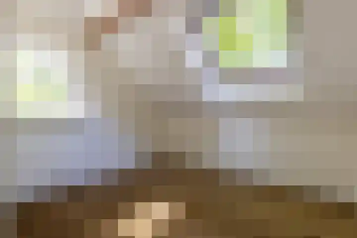 Berkenlaantje 2 a Laren thumbnail 26