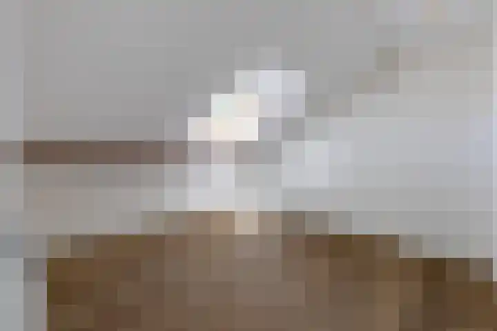 Berkenlaantje 2 a Laren thumbnail 27