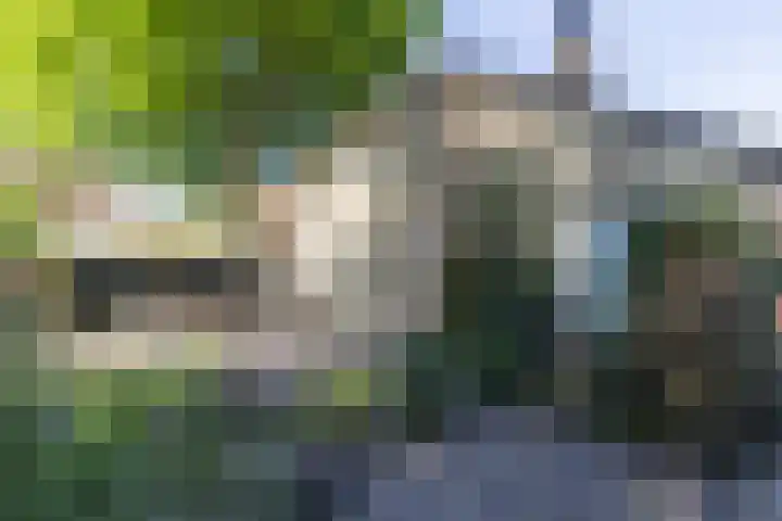 Berkenlaantje 2 a Laren thumbnail 31