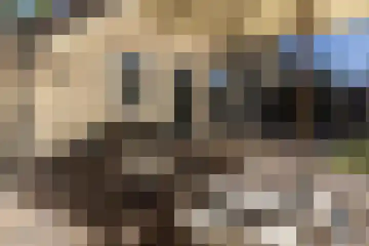 Berkenlaantje 2 a Laren thumbnail 32