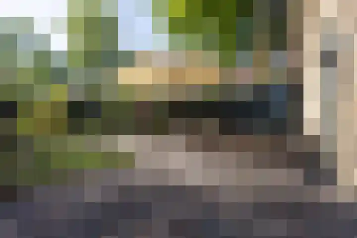 Berkenlaantje 2 a Laren thumbnail 33