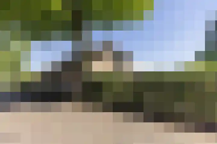 Berkenlaantje 2 a Laren thumbnail 35