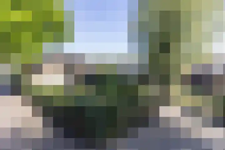 Berkenlaantje 2 a Laren thumbnail 36
