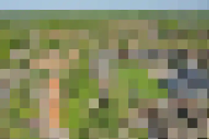 Berkenlaantje 2 a Laren thumbnail 37