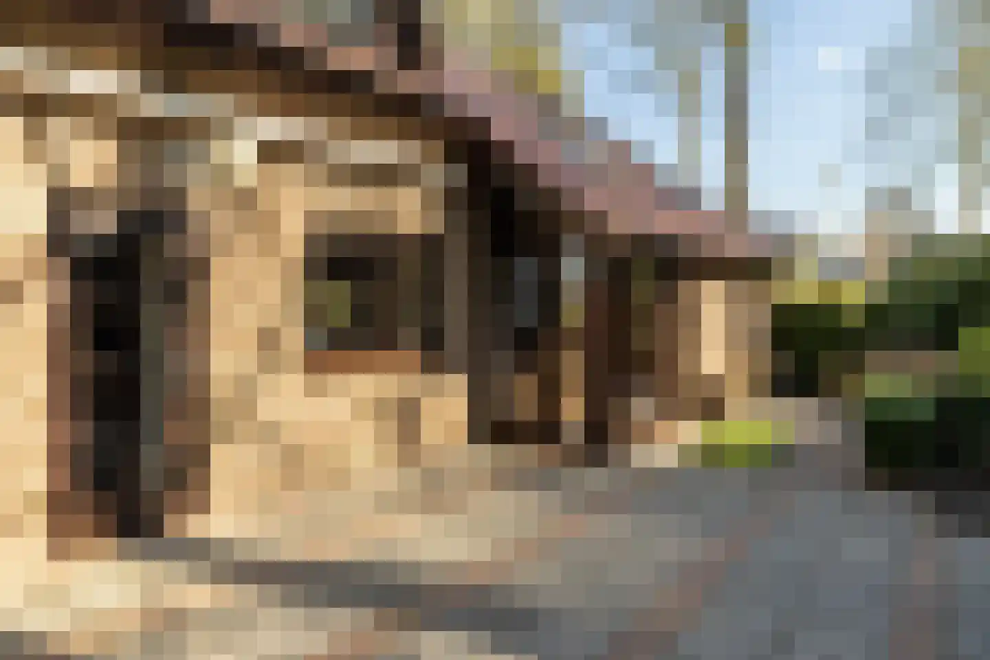 Berkenlaantje 4 Nunspeet thumbnail 11