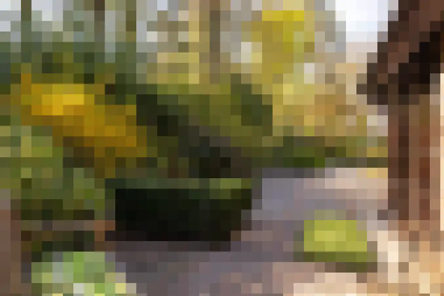 Berkenlaantje 4 Nunspeet thumbnail 12