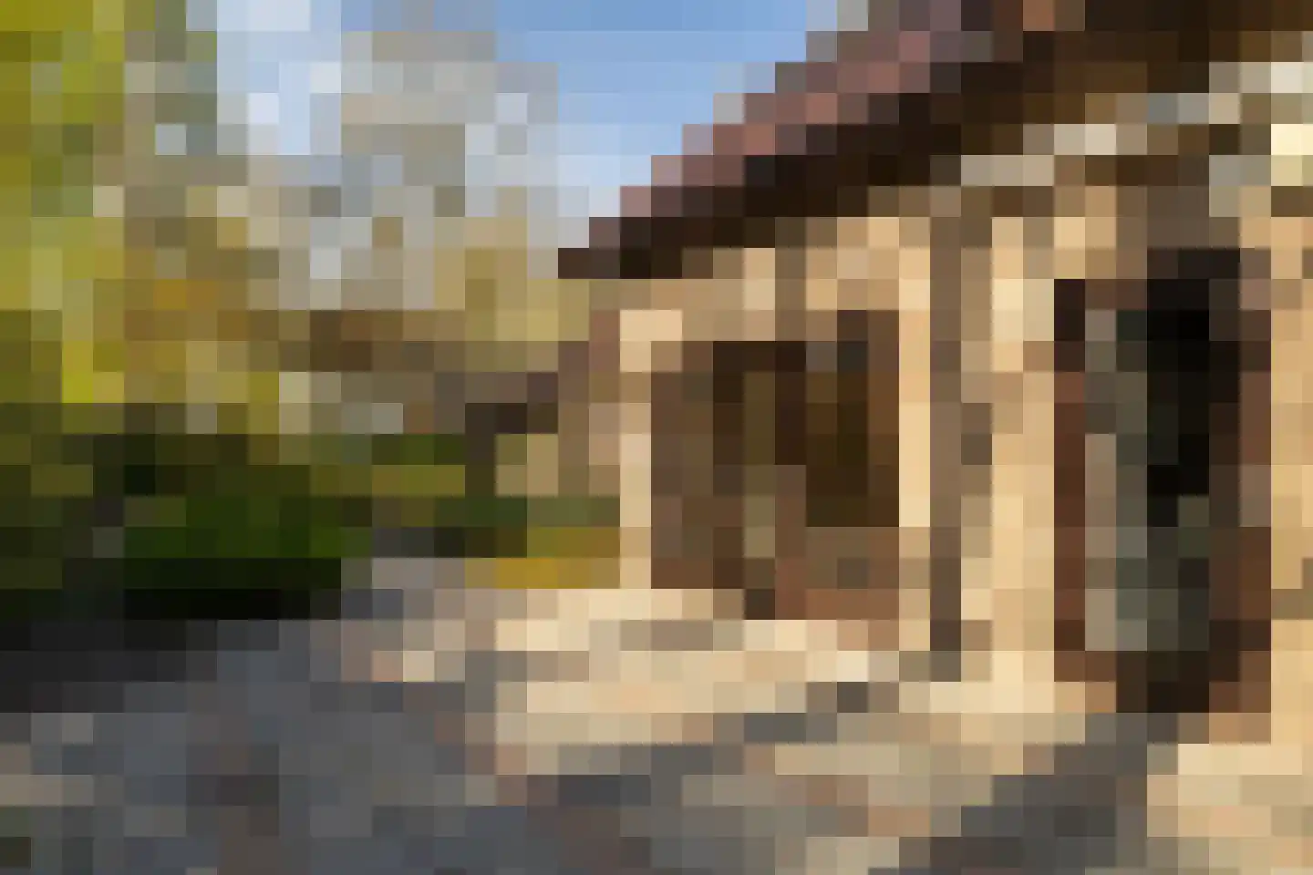 Berkenlaantje 4 Nunspeet thumbnail 13