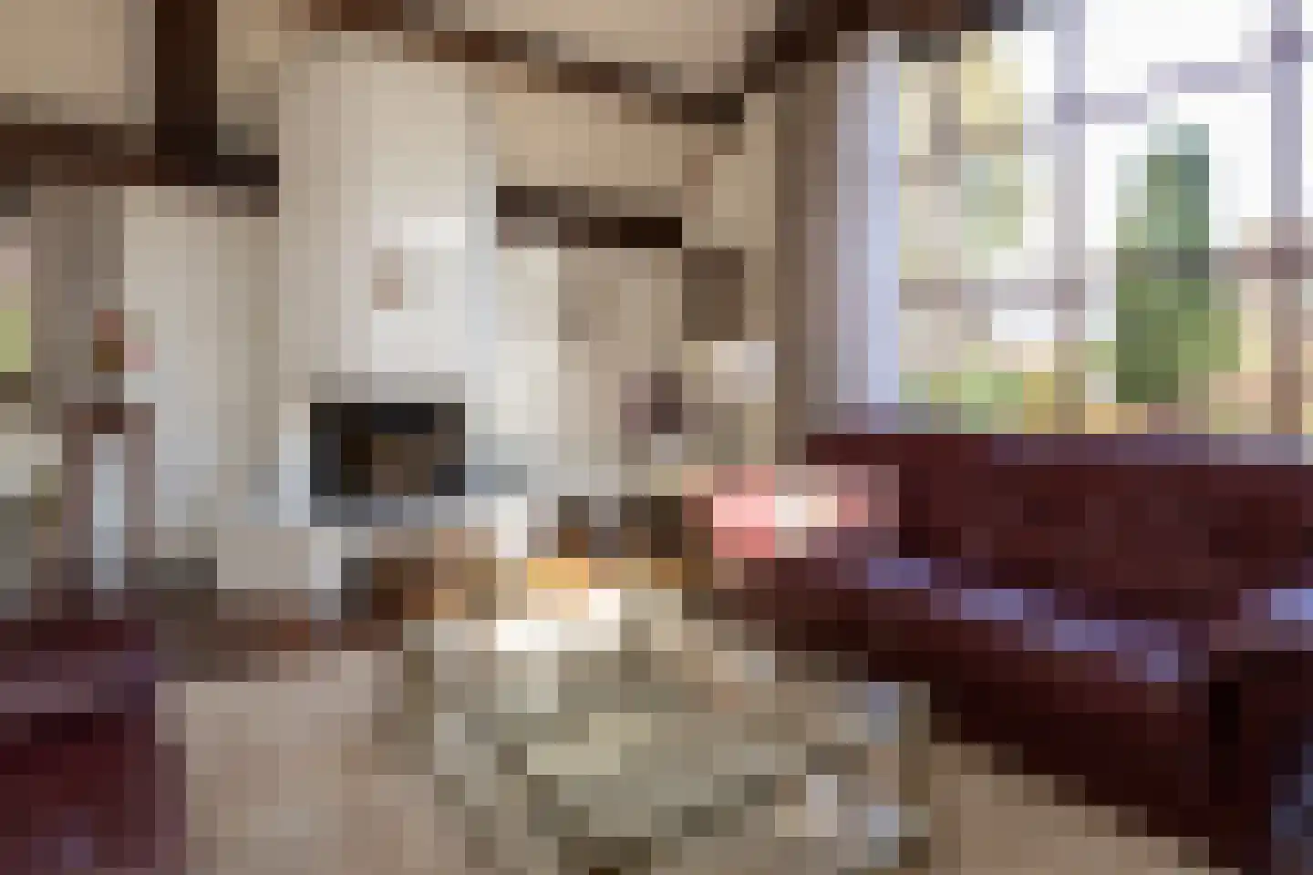 Berkenlaantje 4 Nunspeet thumbnail 18