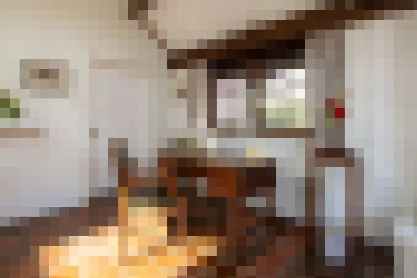 Berkenlaantje 4 Nunspeet thumbnail 21