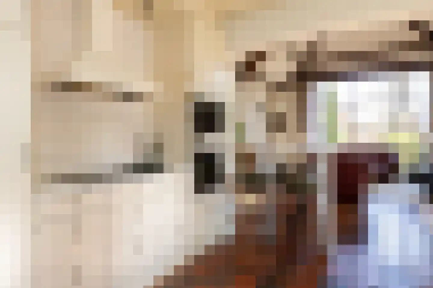 Berkenlaantje 4 Nunspeet thumbnail 24