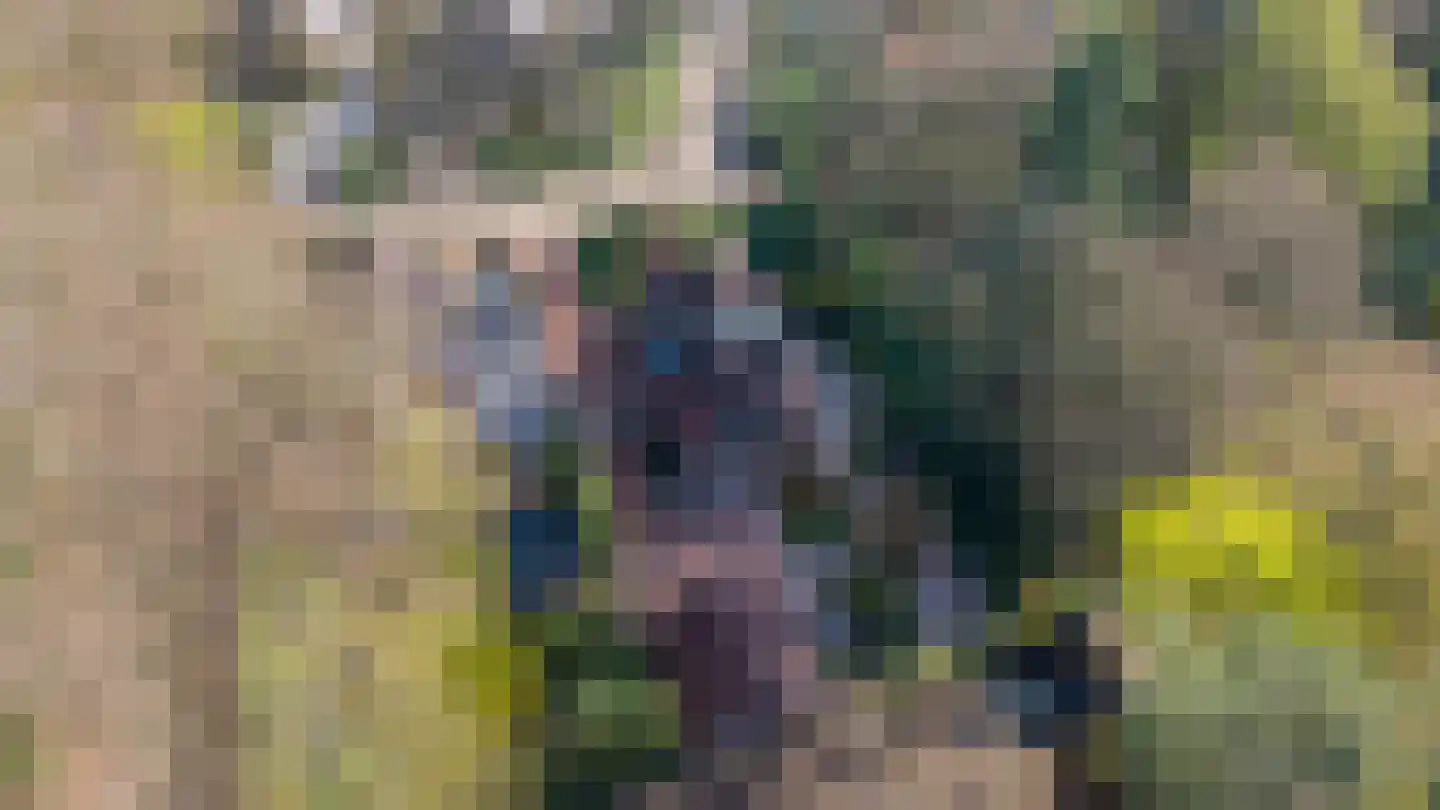 Berkenlaantje 4 Nunspeet foto 3