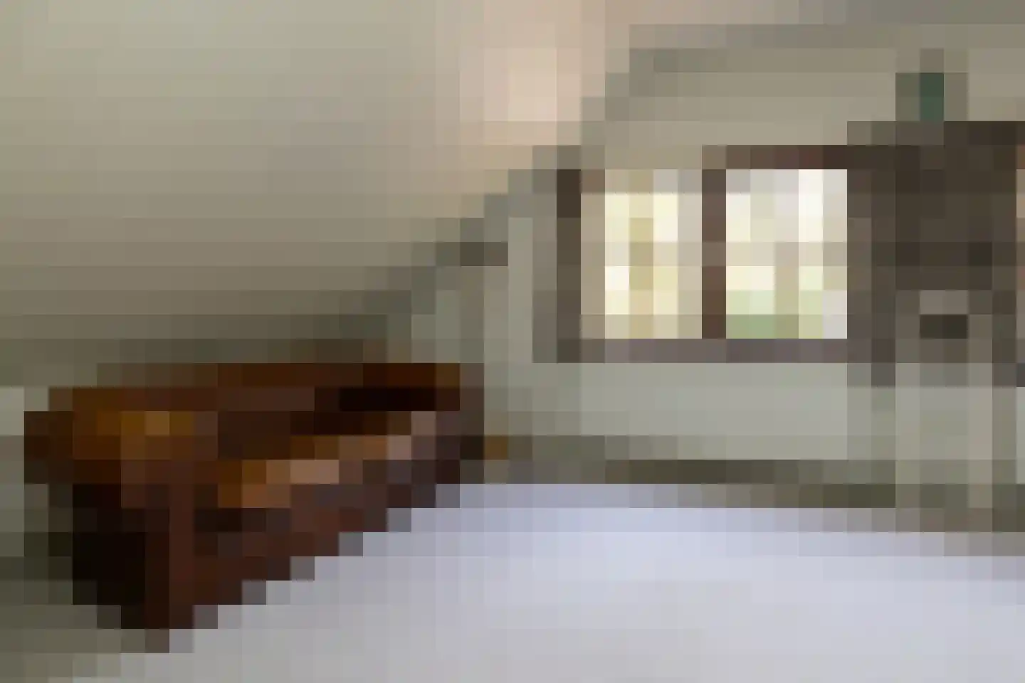 Berkenlaantje 4 Nunspeet thumbnail 34