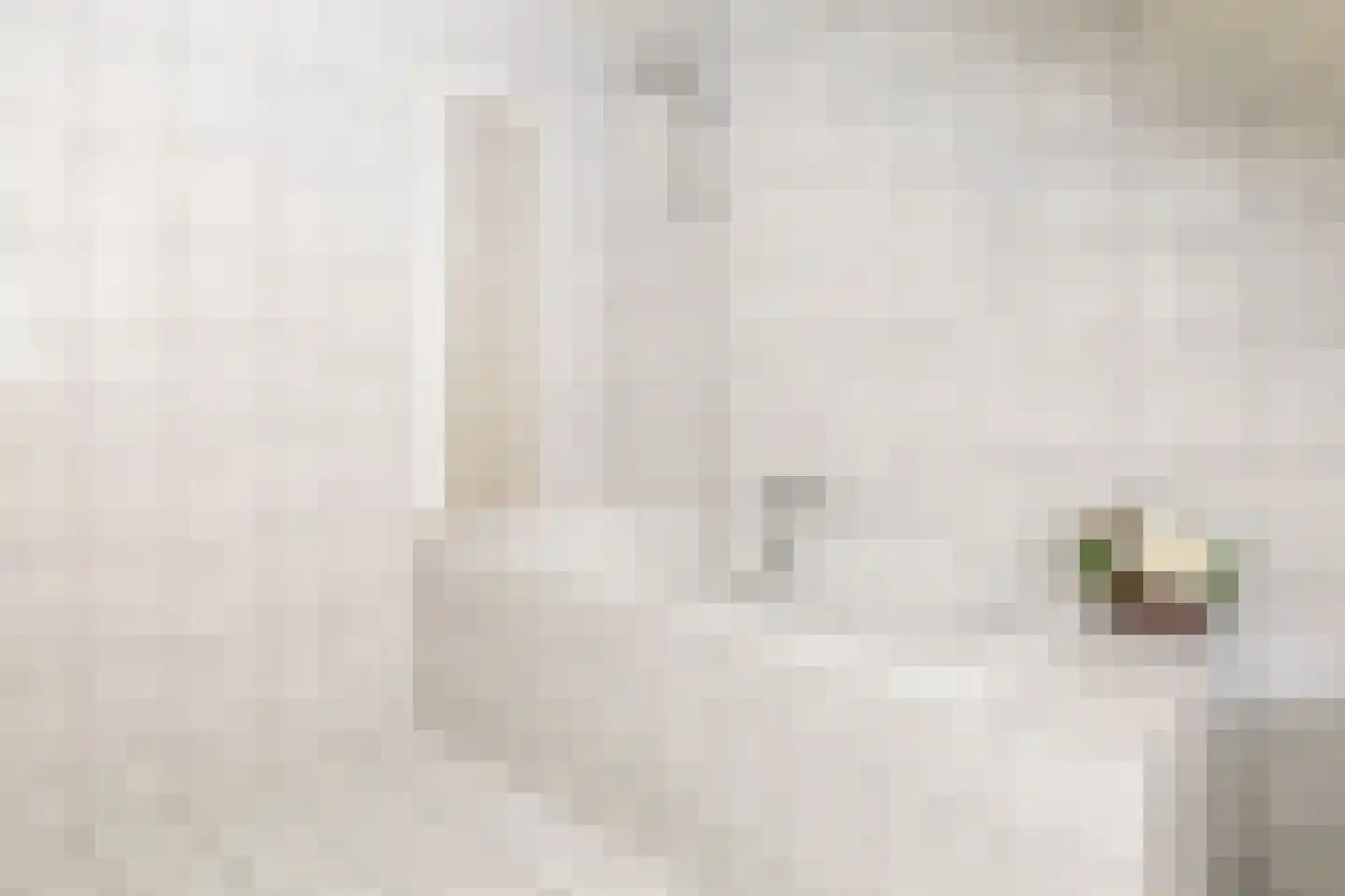 Berkenlaantje 4 Nunspeet thumbnail 37