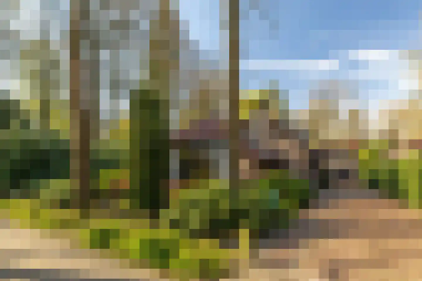 Berkenlaantje 4 Nunspeet thumbnail 4