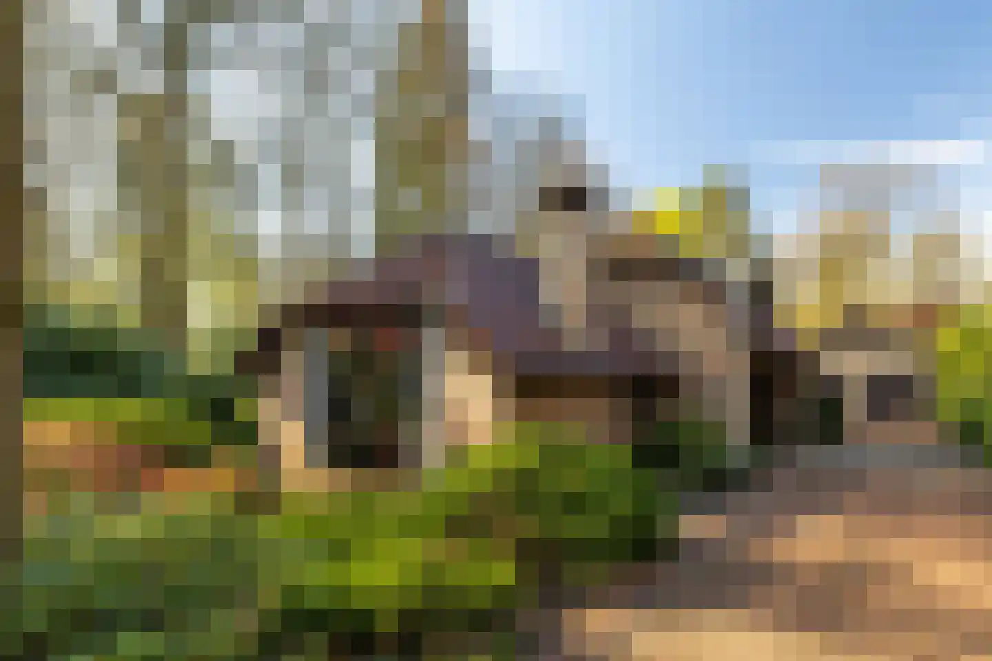 Berkenlaantje 4 Nunspeet thumbnail 40