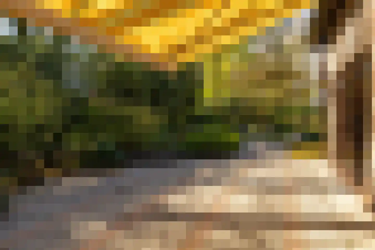 Berkenlaantje 4 Nunspeet thumbnail 41