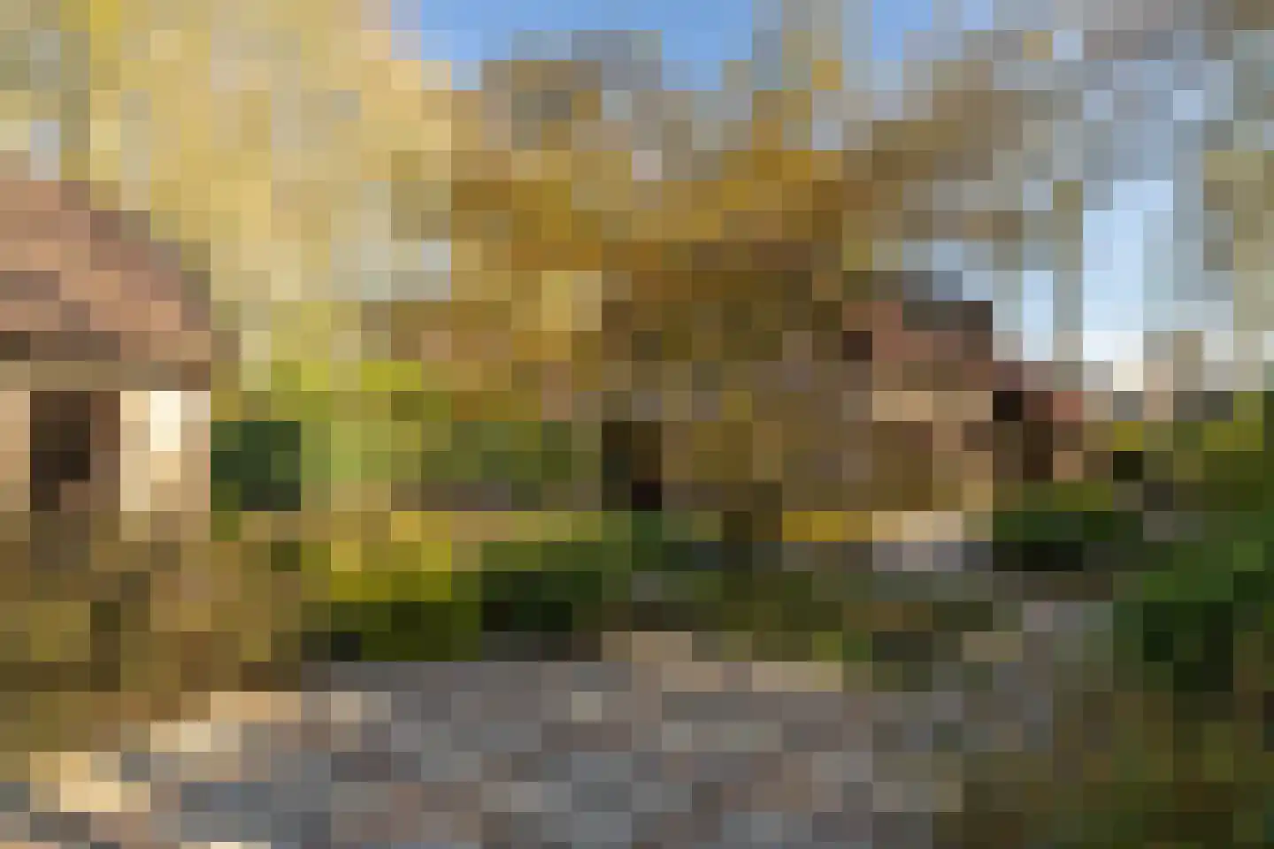 Berkenlaantje 4 Nunspeet thumbnail 42