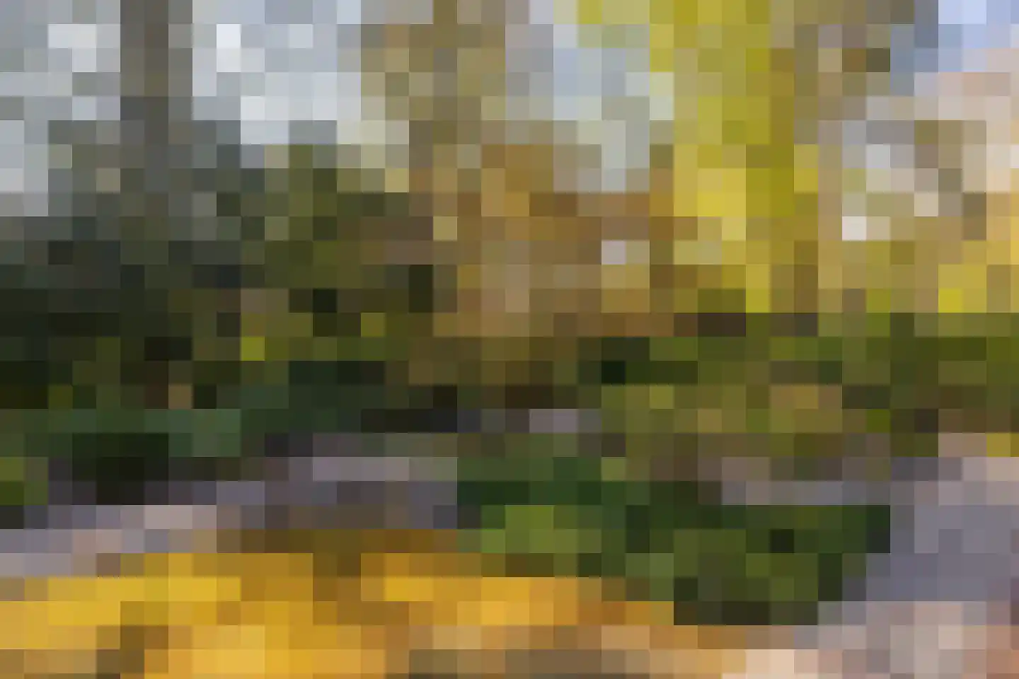 Berkenlaantje 4 Nunspeet thumbnail 43