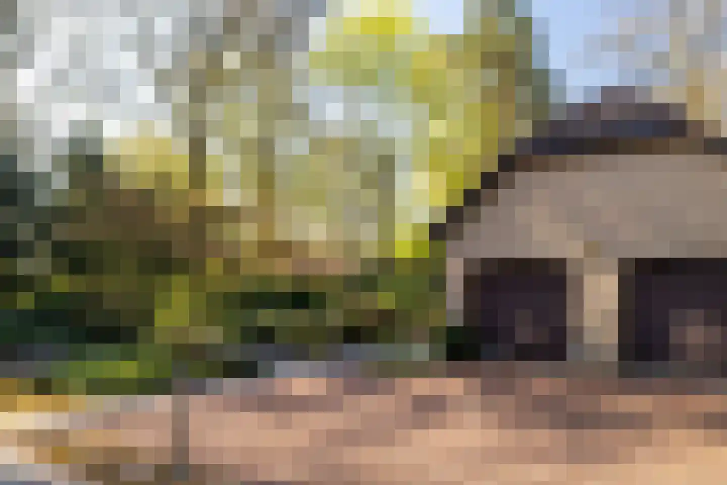 Berkenlaantje 4 Nunspeet thumbnail 44