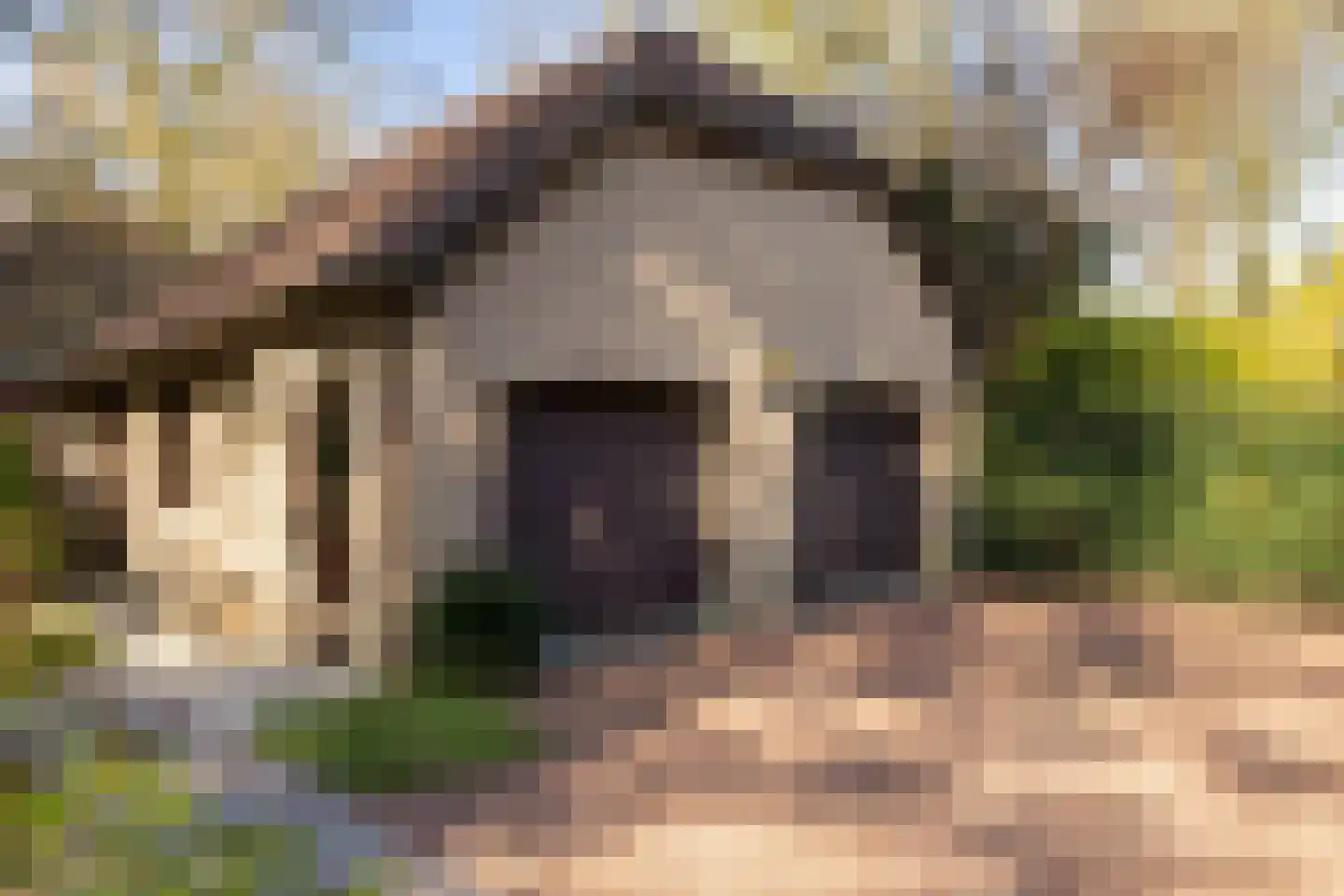 Berkenlaantje 4 Nunspeet thumbnail 45